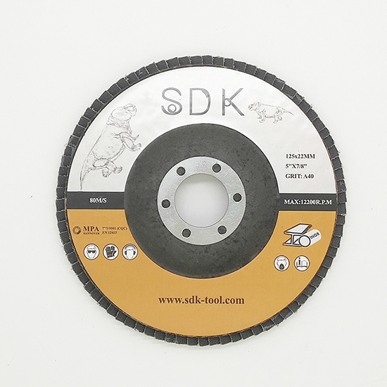 Flap wheel 125 22 1.jpg